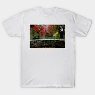 Autumn in the park T-Shirt